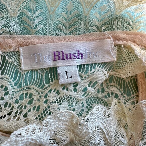 The blush Inc seafoam green w/ cream lace sleeveless blouse Sz L - Picture 2 of 3